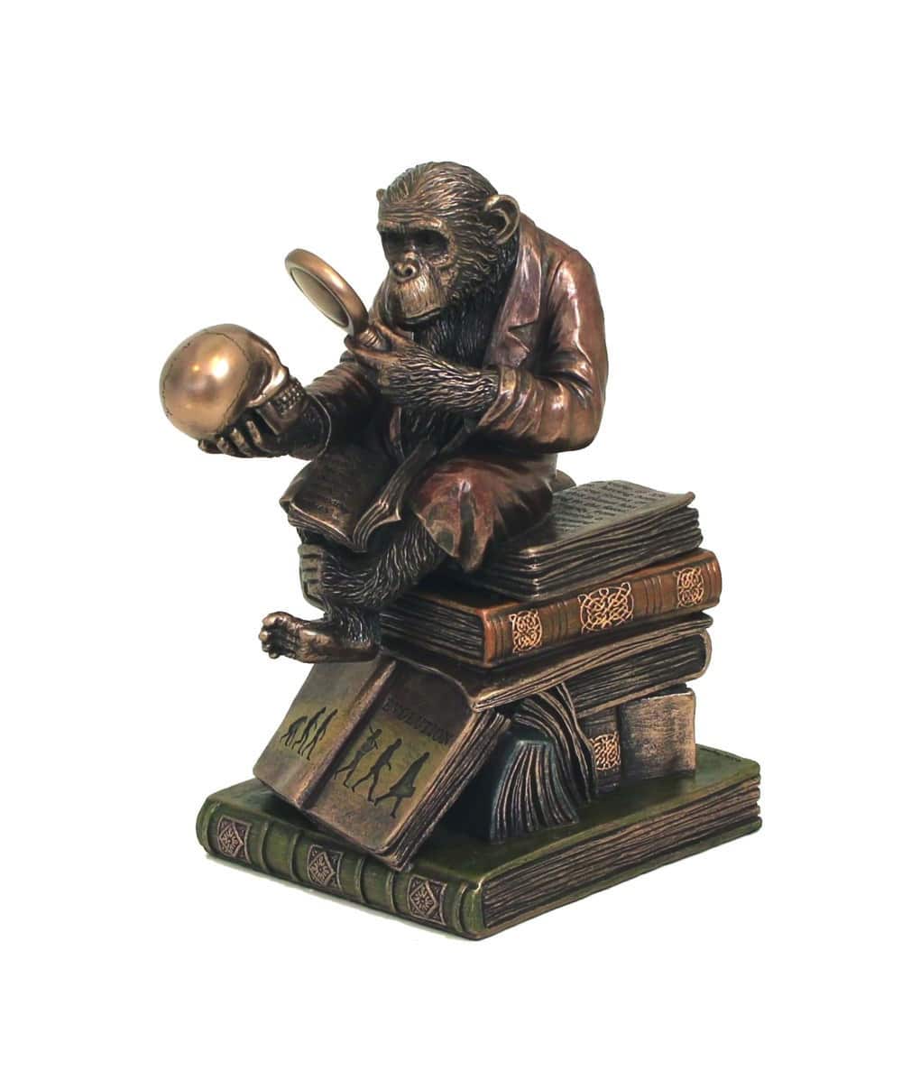 Statuette Darwinienne - Singe Philosophe avec Loupe et Crâne sur des Livres d'Évolution