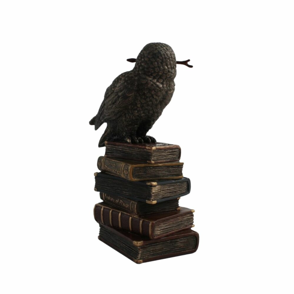 Statuette Hibou Mystique sur Livres Magiques - Décoration Esotérique